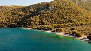 Paesaggio costiero con spiaggia, fitta foresta e mare cristallino.