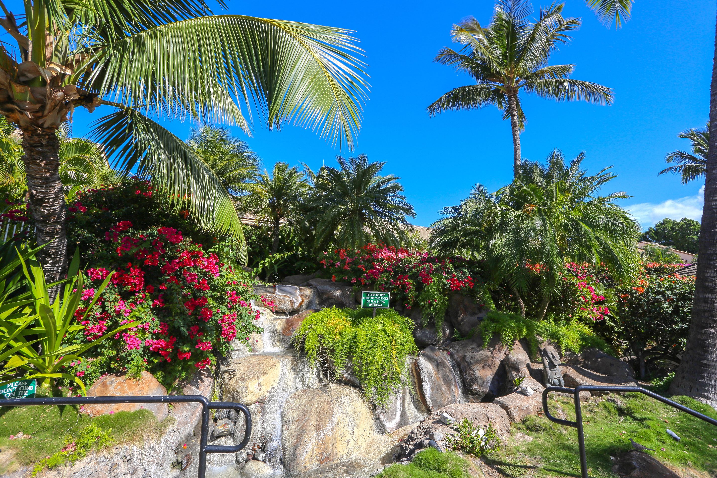 Un jardín tropical con cascada, palmeras y flores rojas.