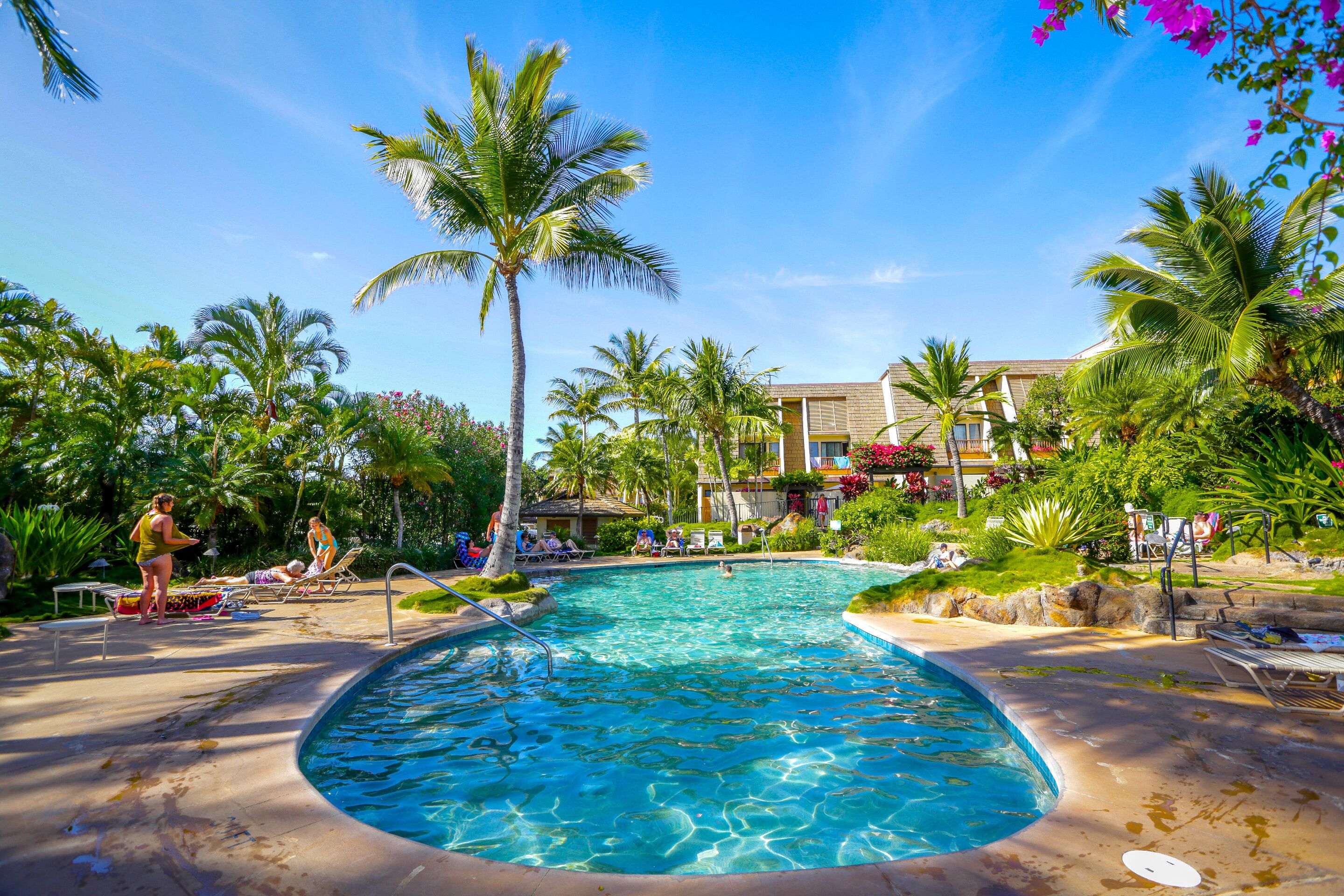 A pool area with lounge chairs and palm trees.