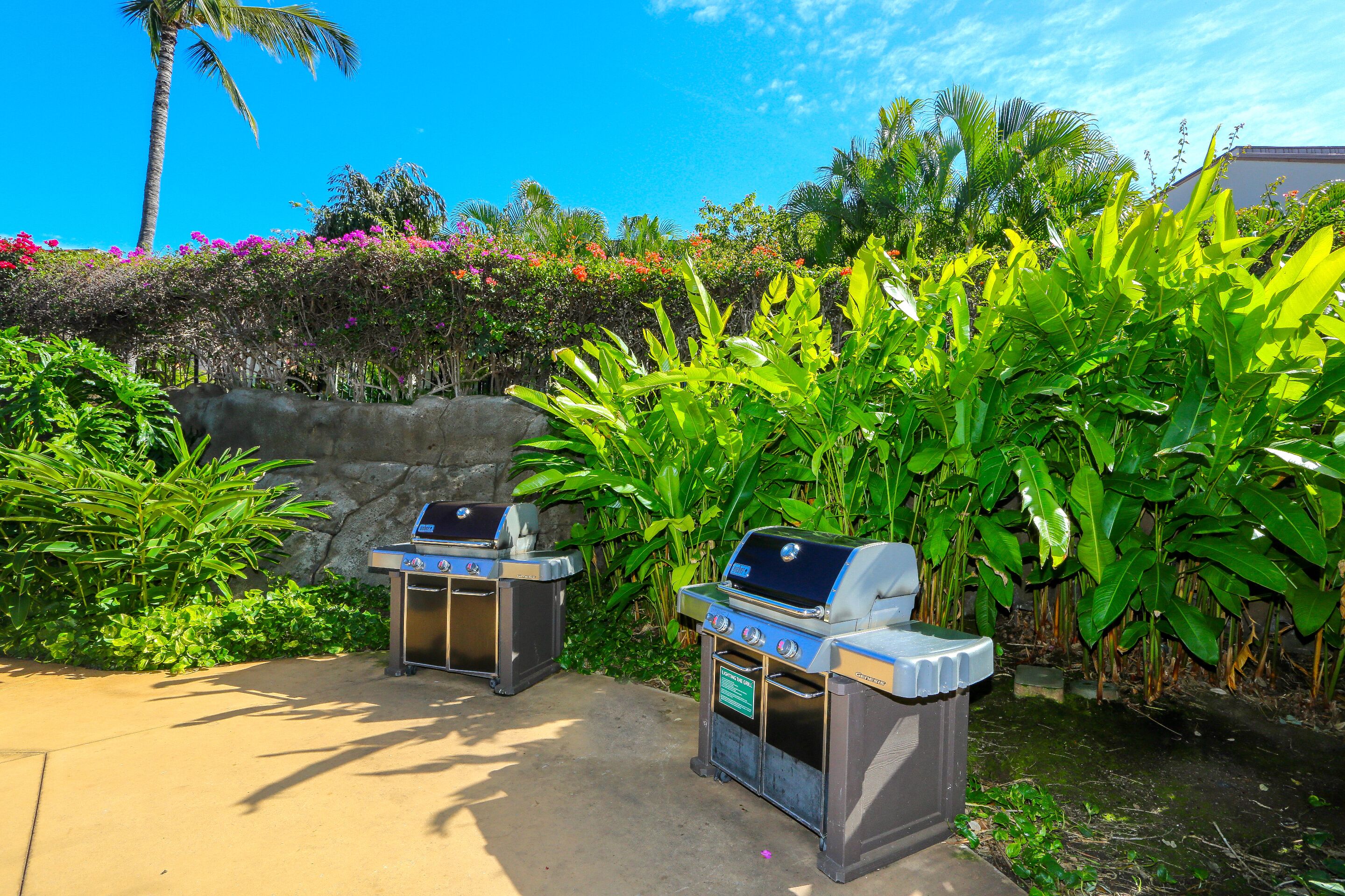 Two barbecue grills in an outdoor setting with lush greenery and a clear blue sky.