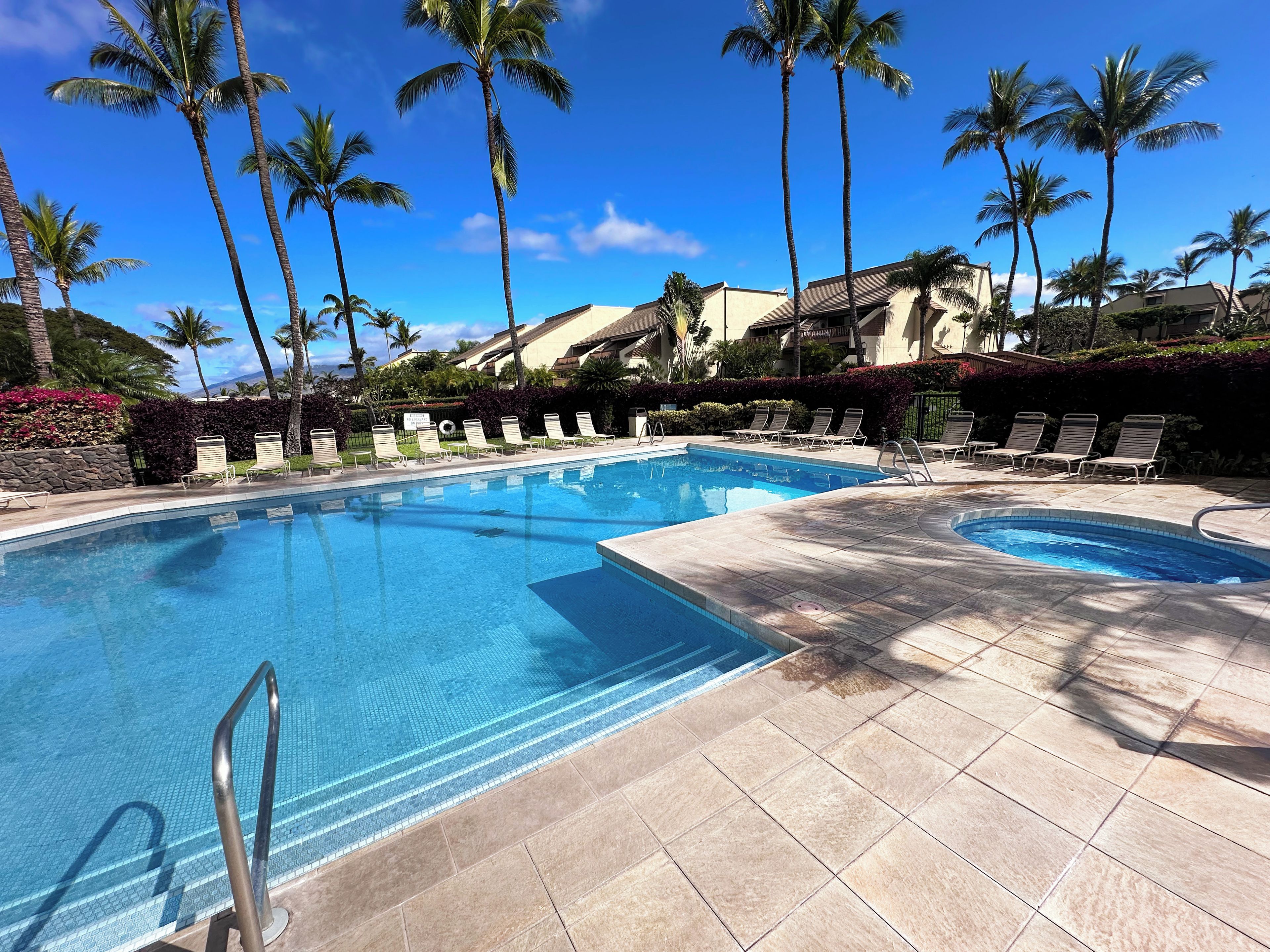 A swimming pool with lounge chairs and palm trees.