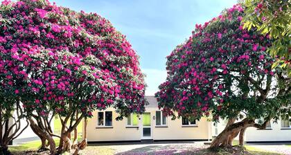 Cornish countryside lodge in quiet cul de sac