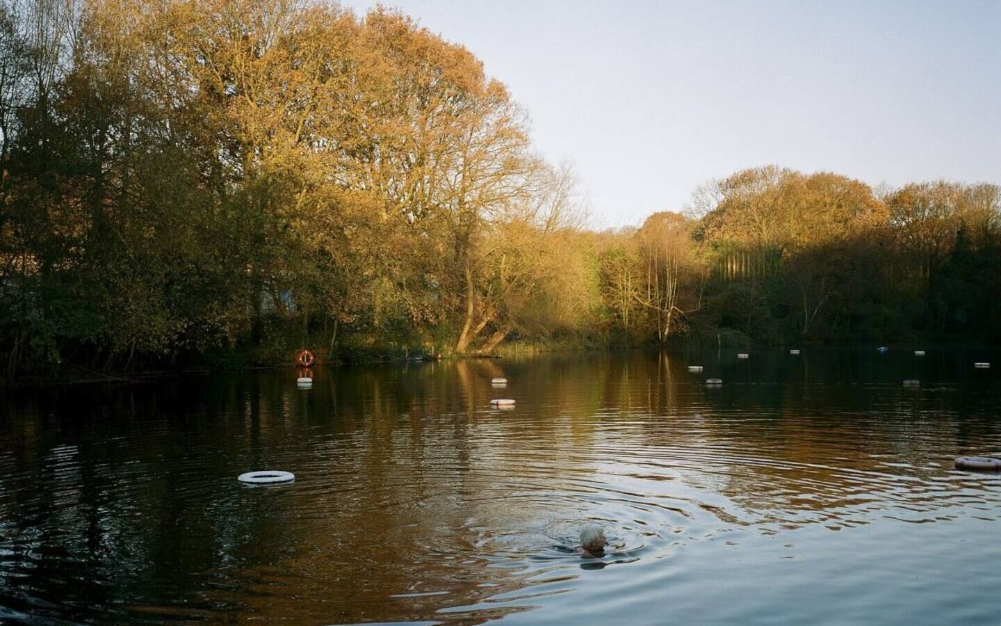 Een rustige rivier met bomen aan de oevers en een zwemmer in het water.