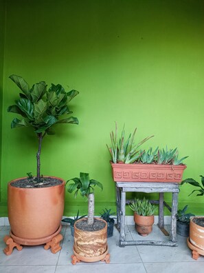 Terrain de l’hébergement 