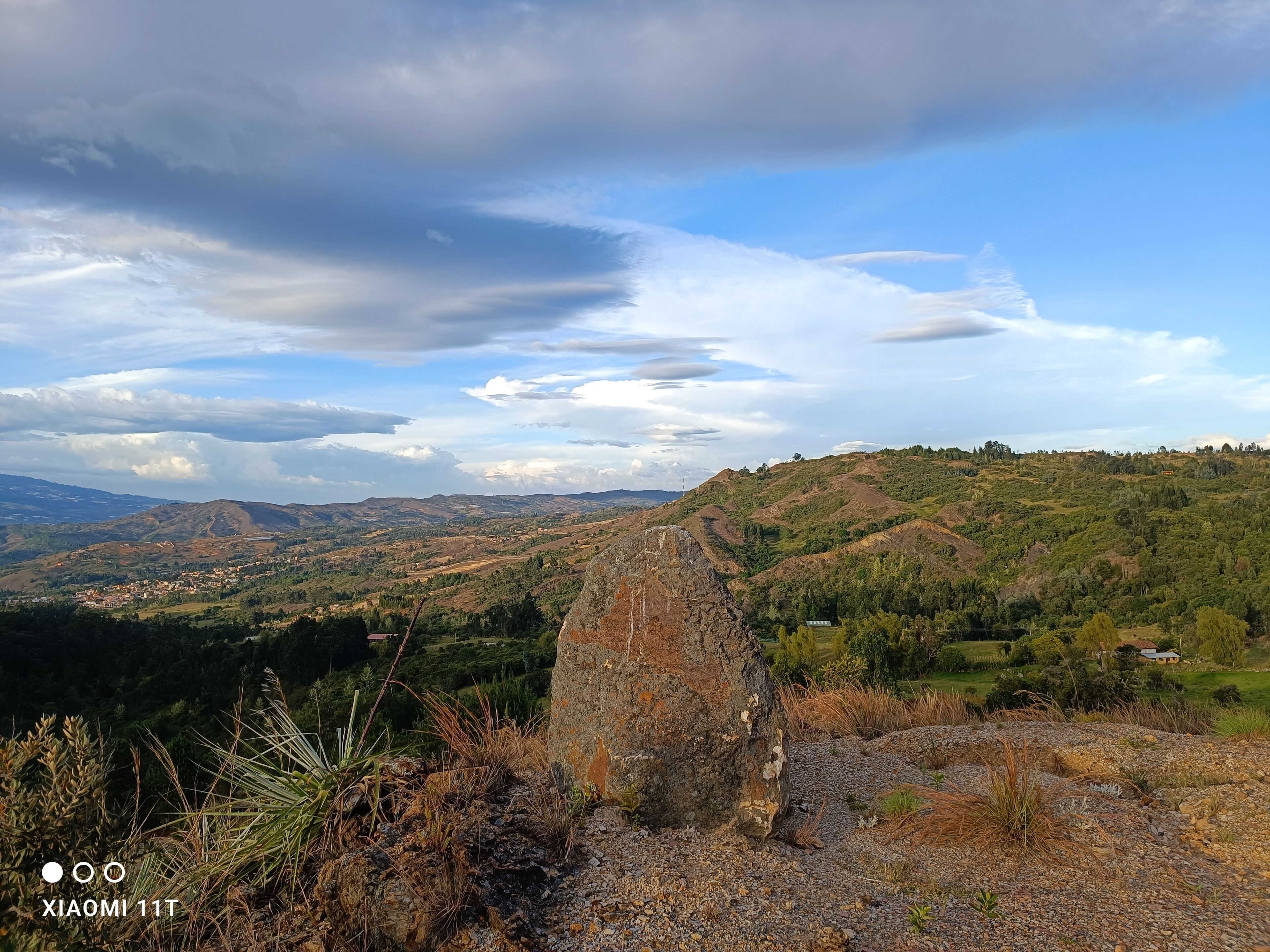Asciugamani, sapone, carta igienica
