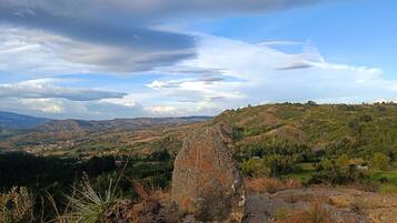 Asciugamani, sapone, carta igienica