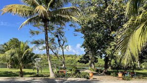 Un parque con palmeras, un estanque y bancos.