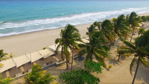 Una playa con una hilera de cabañas de playa y palmeras.
