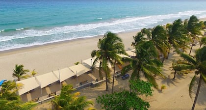 Honduras Shores Plantations