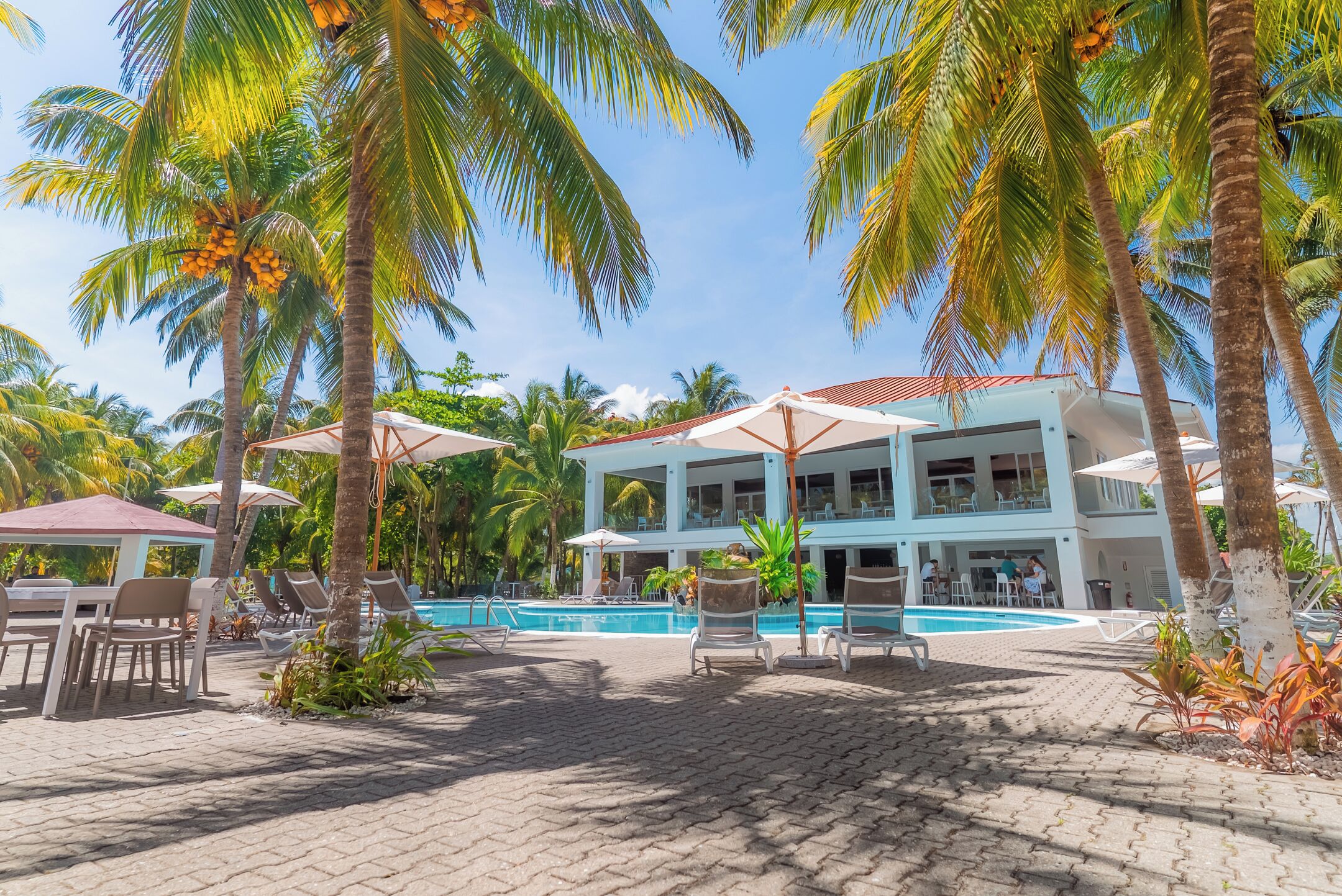 A resort with a pool, lounge chairs, and palm trees.