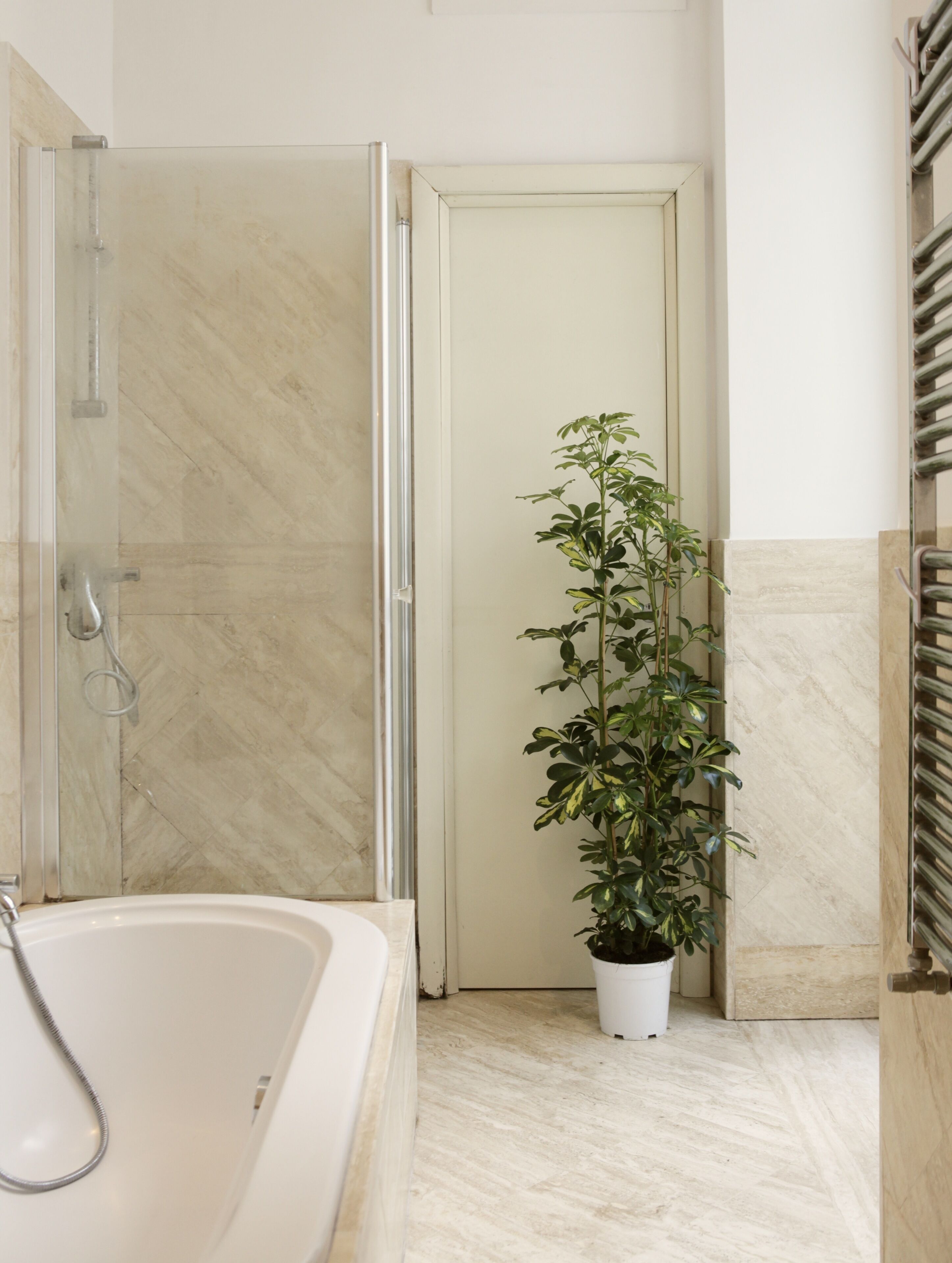 Ducha, secador de pelo, bidet, toallas