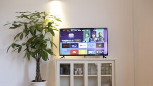 A television displaying a Formula 1 live stream, a potted plant, and a white cabinet with glass doors. - Bright and confortable apartment in the center of the liveliest part of the city (Napoli)