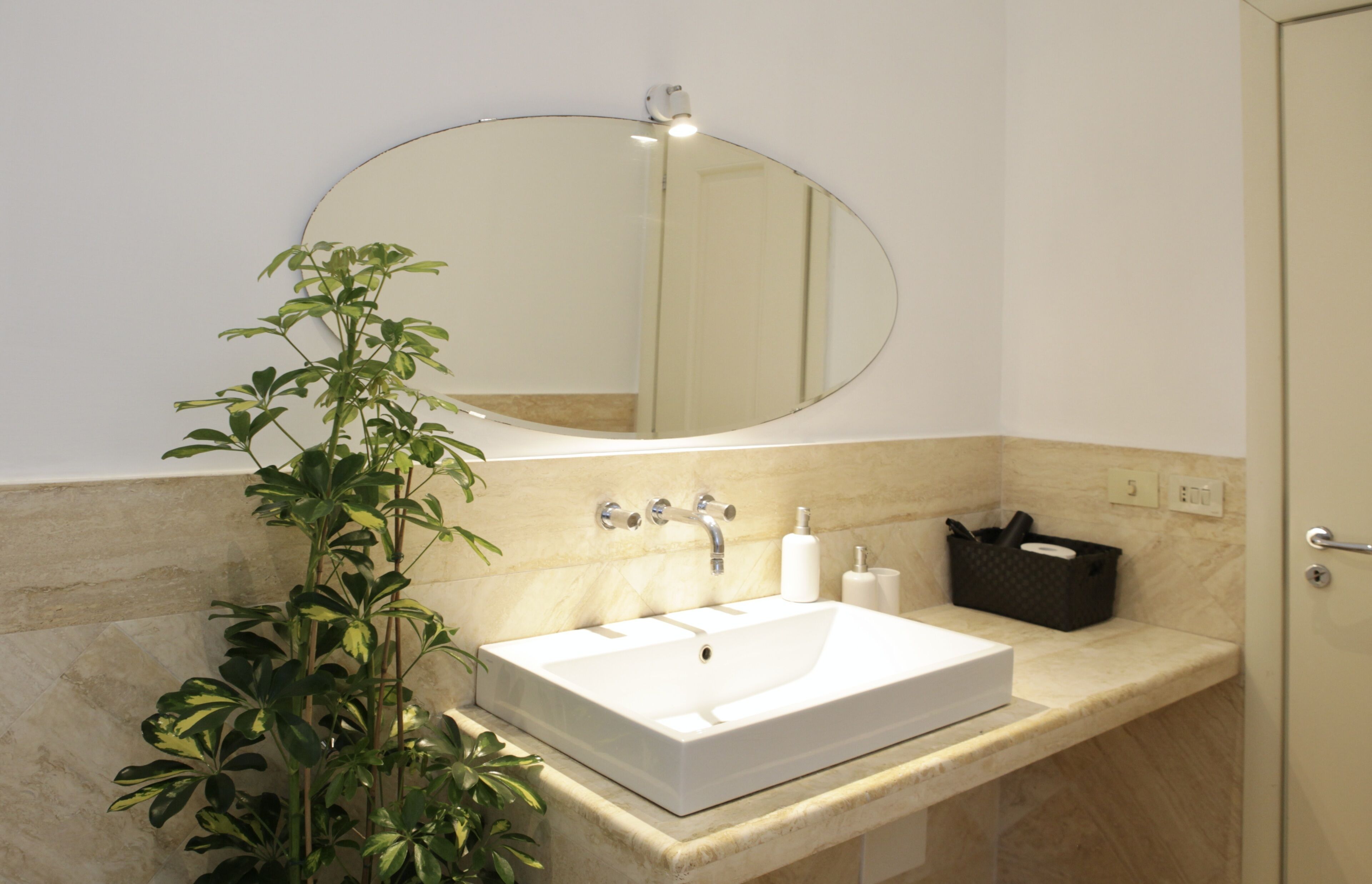 A bathroom with a white sink, a mirror, and a potted plant.