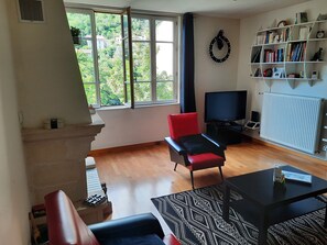 Télévision, cheminée, lecteur de DVD, livres