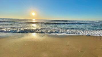 Plage à proximité, chaises longues, serviettes de plage