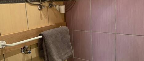 A bathroom with a toilet, a towel rack with a towel, a shower head, and a toilet paper holder.