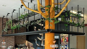 Bar (på overnattingsstedet)