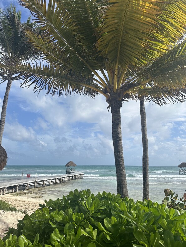 サンラウンジャー、ビーチタオル