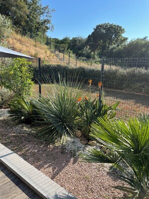 A garden with various plants, a gravel path, and a metal fence.