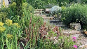 A garden with various plants, a stone pathway, and a building in the background. - Wunderschönes Landhaus Atemberaubende Aussicht (Huismes)