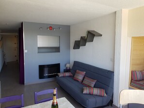 TV, DVD player, books