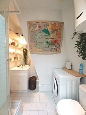 Shower, hair dryer, towels, toilet paper