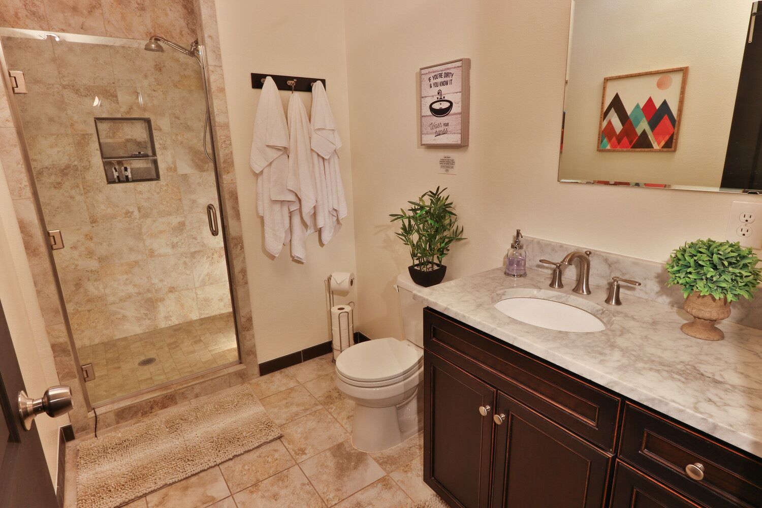 A modern bathroom with a walk-in shower, a toilet, a sink with a marble countertop, and a potted plant.