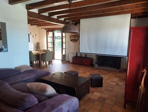 TV, fireplace, ping pong, books