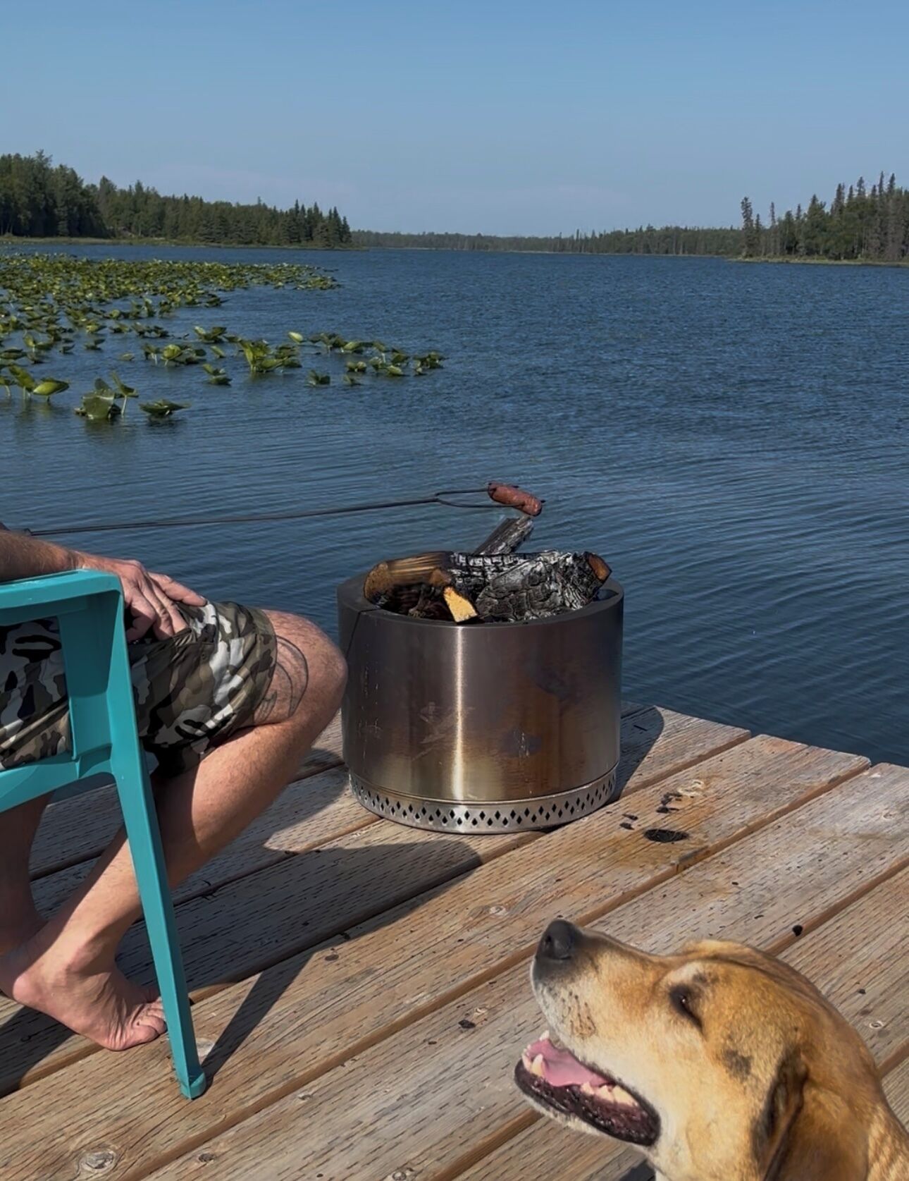 A wooden deck with a metal fire pit and a dog.