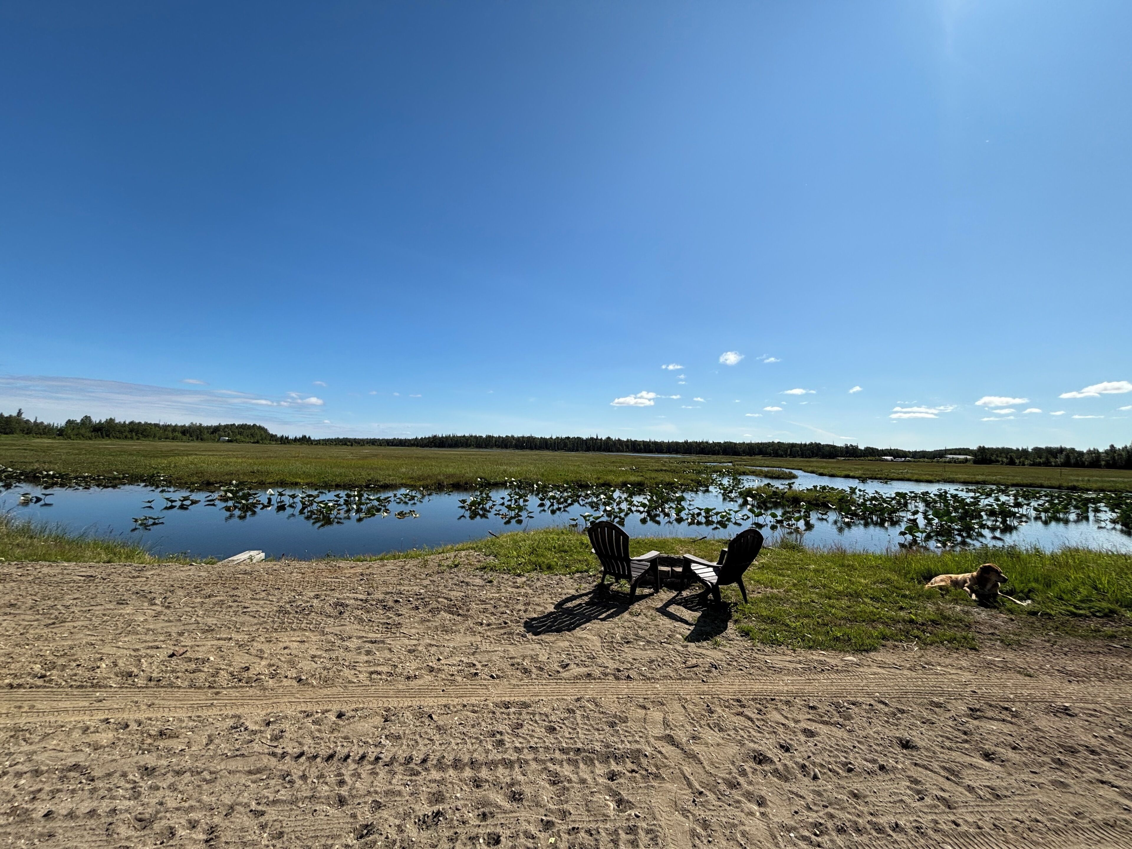 Una playa arenosa con un lago y sillas.