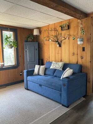 Smart TV, fireplace, books, printers - Cozy countryside cottage located on Crooked river in Naples Maine. (Naples)