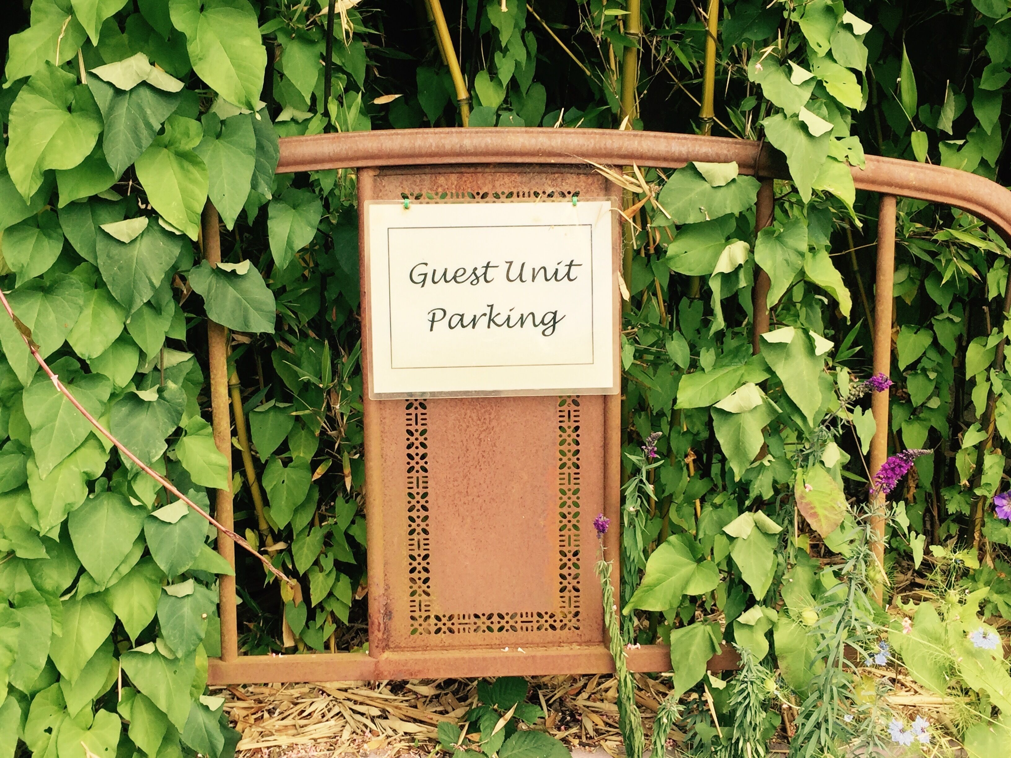 Redwood coast farm studio