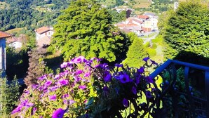 Un balcó amb flors morades, vista a un poble i turons verds al fons.