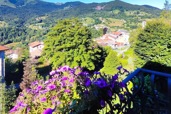 View from room