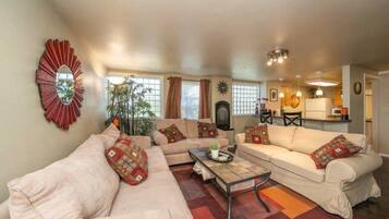 TV connectée, cheminée, lecteur de DVD