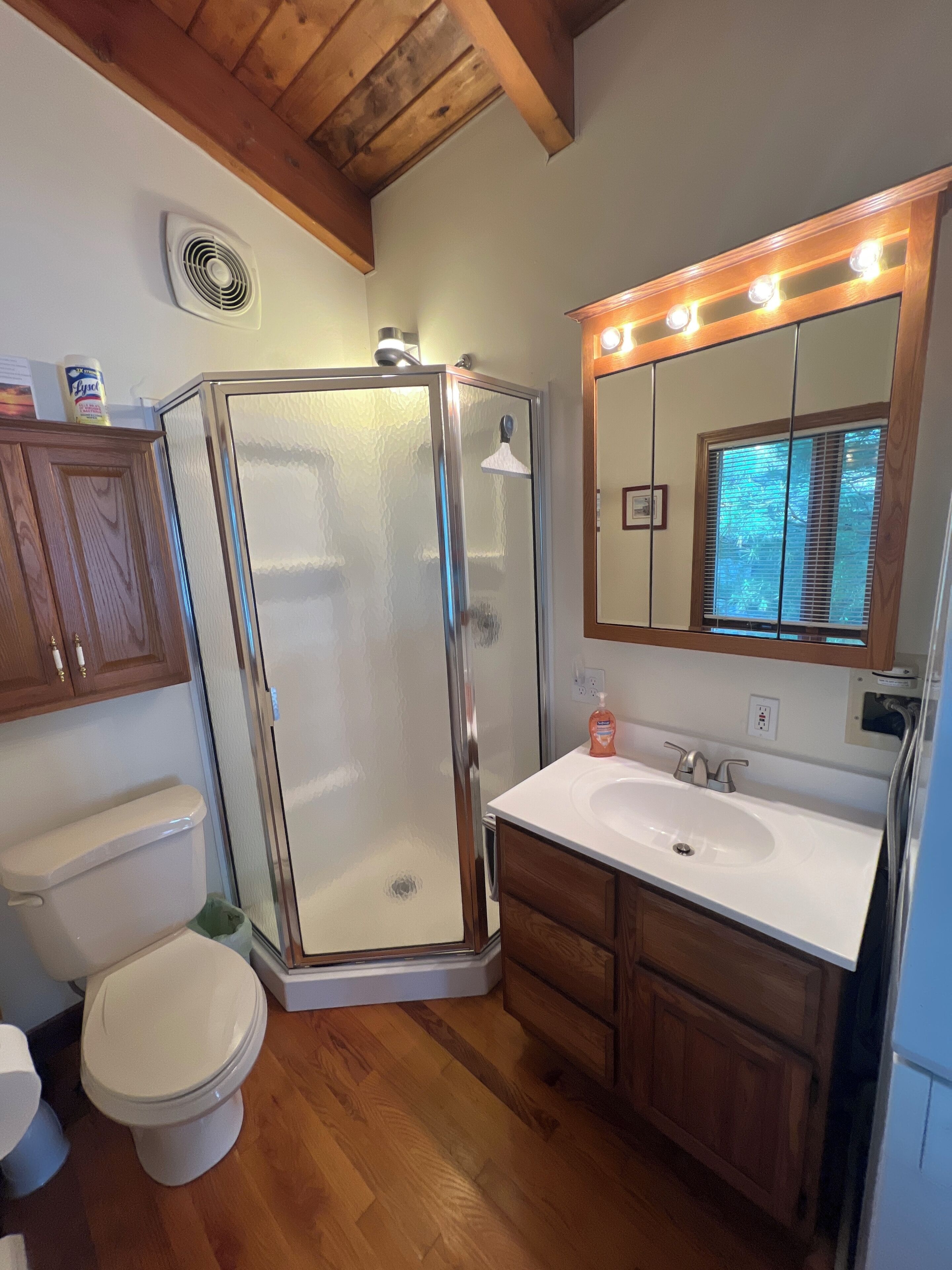 Shower, eco-friendly toiletries, hair dryer, towels