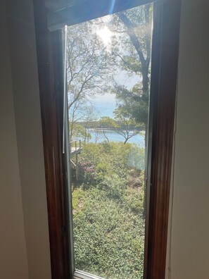 A view through a window with a wooden frame, overlooking a garden with various plants and a body of water in the background.