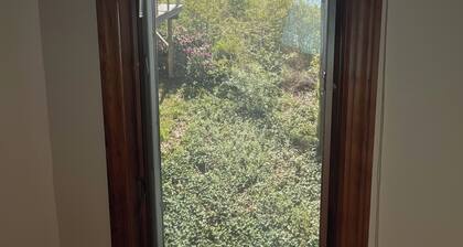 Cozy studio with AC,WiFi, full kitchen, private entry great for couples vacation