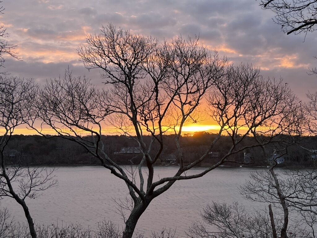 Un coucher de soleil sur une étendue d’eau, avec des arbres sans feuilles au premier plan et un pont en arrière-plan.