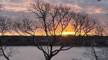 Un coucher de soleil sur une étendue d’eau, avec des arbres sans feuilles au premier plan et un pont en arrière-plan.