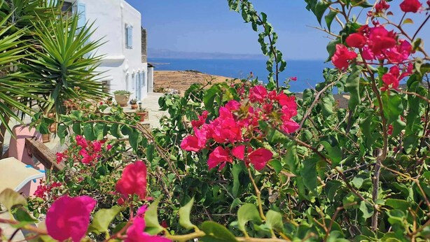 A white building with a view of the sea. - Dorothea Panoramic Villa is one of a kind—a hidden gem  of Paros.Asteria (Paros)
