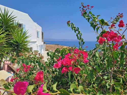 Dorothea Panoramic Villa is one of a kind—a hidden gem  of Paros.Asteria