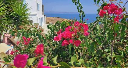 Dorothea Panoramic Villa is one of a kind—a hidden gem of Paros.Asteria