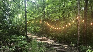 Un chemin de pierres dans une zone boisée, avec des guirlandes lumineuses suspendues au-dessus.