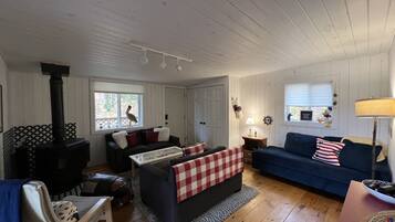 Una Smart TV, una chimenea, libros