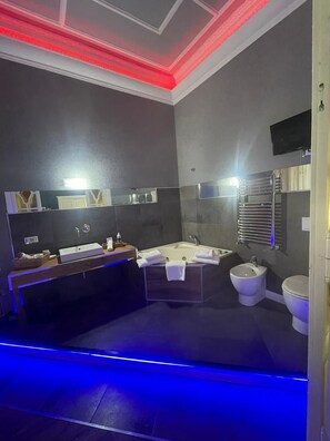 Shower, hair dryer, bidet, towels