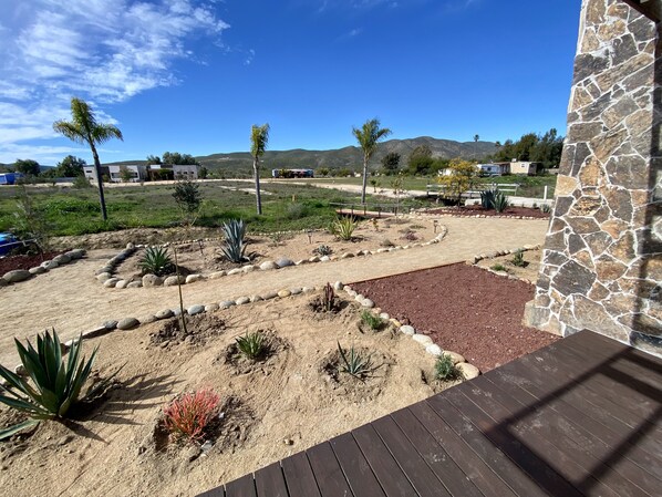 A landscaped garden with various plants and a stone wall.
