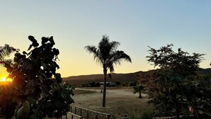 A desert landscape with a dirt path leading to a wooden bridge, surrounded by various trees and a sunset in the background. - Estancia Cataviña Valle de Guadalupe (Valle de Guadalupe)