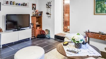 Smart-TV, Kamin