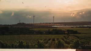 A pool area with a view of wind turbines and a vineyard in the background. - METHE Resort (Lizzano)